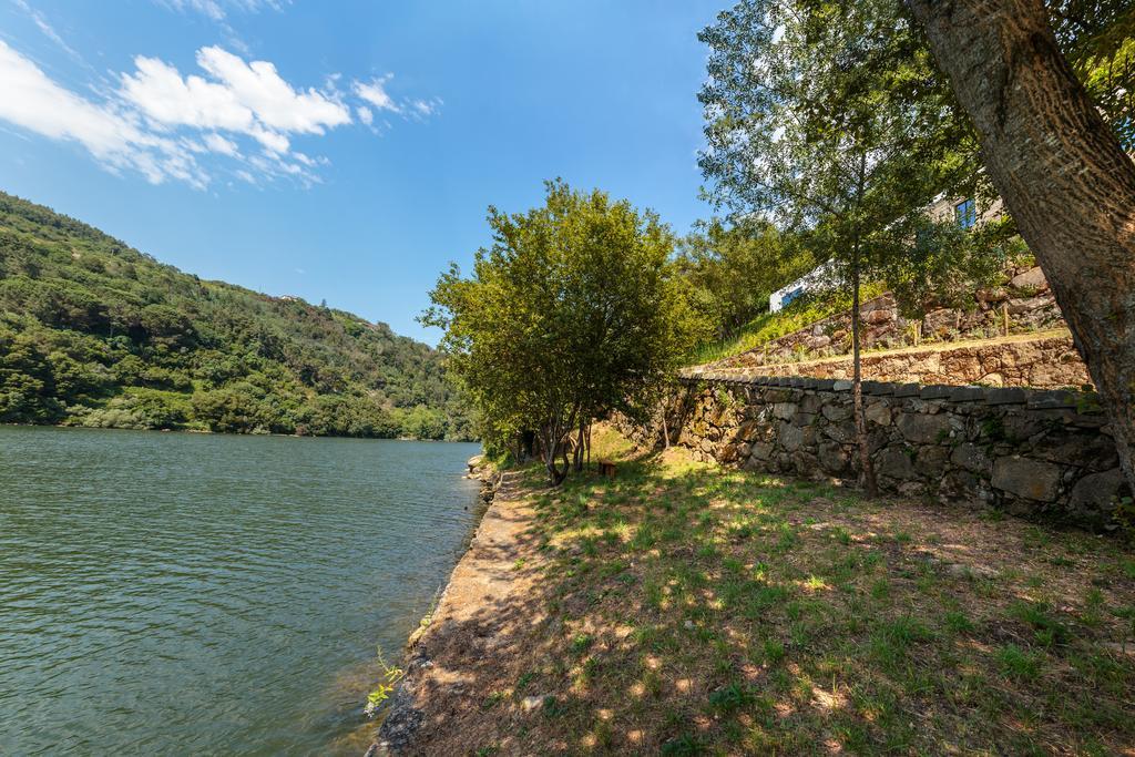 Country house Douro *